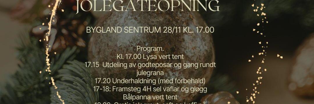 Jolegateopning 2025