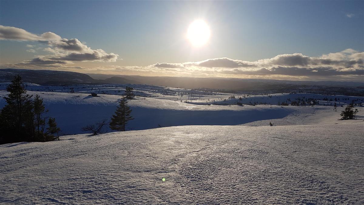 Informasjon Om Behandlingstid På Snøskotersøknadar - Bygland Kommune